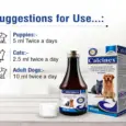 Ecora Calcinex Pet Calcium Syrup for Dogs and Cats PetMedicine.co