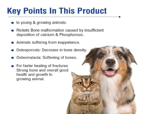 Ecora Calcinex calcium supplement tablets for dogs and cats PetMedicine.co