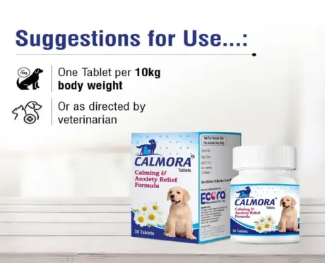 Ecora Calmora stress relief tablets for dogs and cats PetMedicine.co