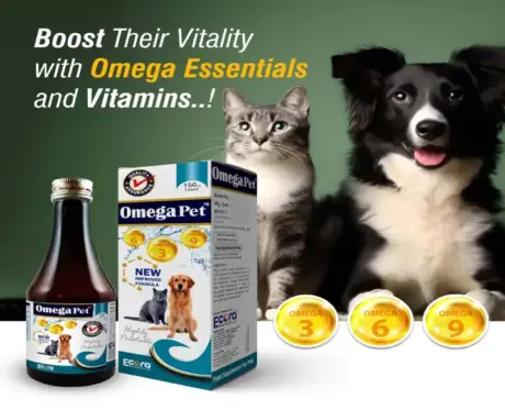 Ecora Omega Pet Liquid Skin Coat Joint Supplement for Pets PetMedicine.co