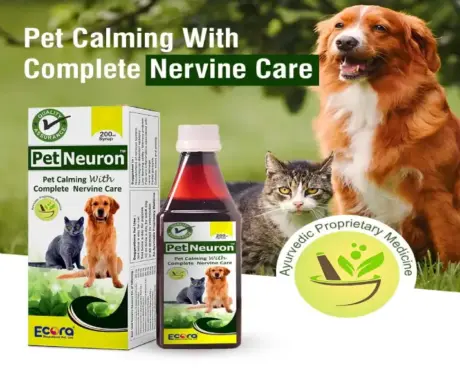 Ecora Pet Neuron Syrup Nervine Care Supplement for Pets PetMedicine.co