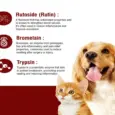 Ecora Zyme TBR Antibiotic Tablets for Pets PetMedicine.co