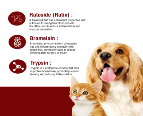 Ecora Zyme TBR Antibiotic Tablets for Pets PetMedicine.co