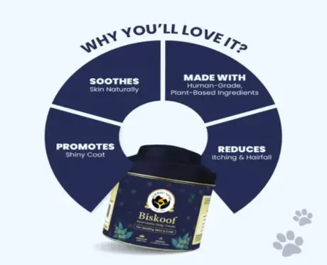 Fur Ball Story Biskoof skin and coat support biscuits for dogs PetMedicine.co