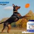 Bone health supplement tablets for pets Furever Fur Bone PetMedicine.co