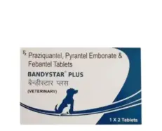 Mankind Bandystar Plus Deworming Tablets for Dogs 2 Tablets PetMedicine.co