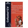 Mankind Cefastar CV Dry Syrup for Dogs and Cats 30ml PetMedicine.co
