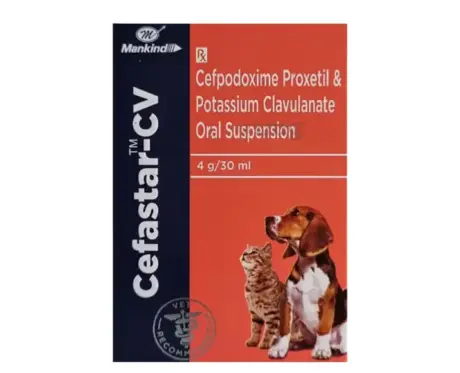 Mankind Cefastar CV Dry Syrup for Dogs and Cats 30ml PetMedicine.co