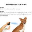 Natural anti tick spray with lemongrass aloe vera for pets PetMedicine.co