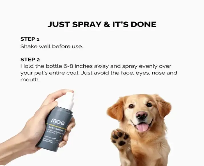 Pet deodorizer spray for dogs and cats with aloe vera PetMedicine.co