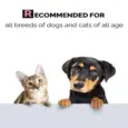 Pet deodorizer spray for dogs and cats with aloe vera PetMedicine.co