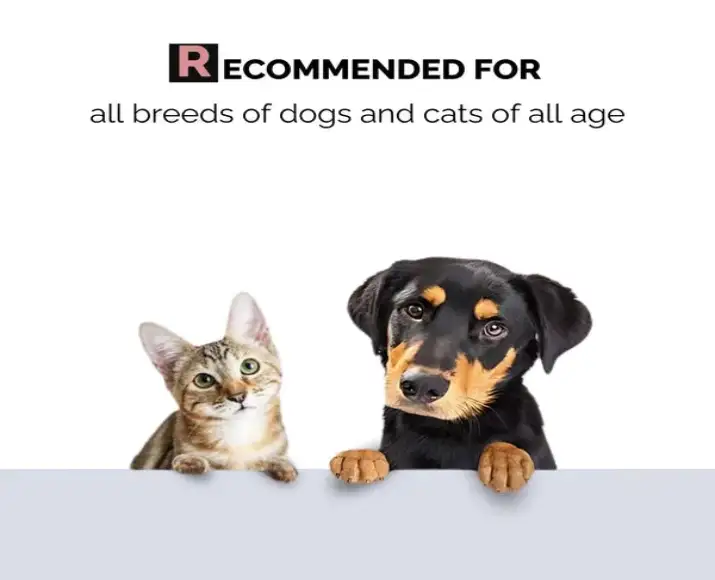 Pet deodorizer spray for dogs and cats with aloe vera PetMedicine.co