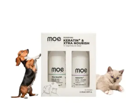 Moe Puppy Discovery Pack shampoo combo for pets PetMedicine.co