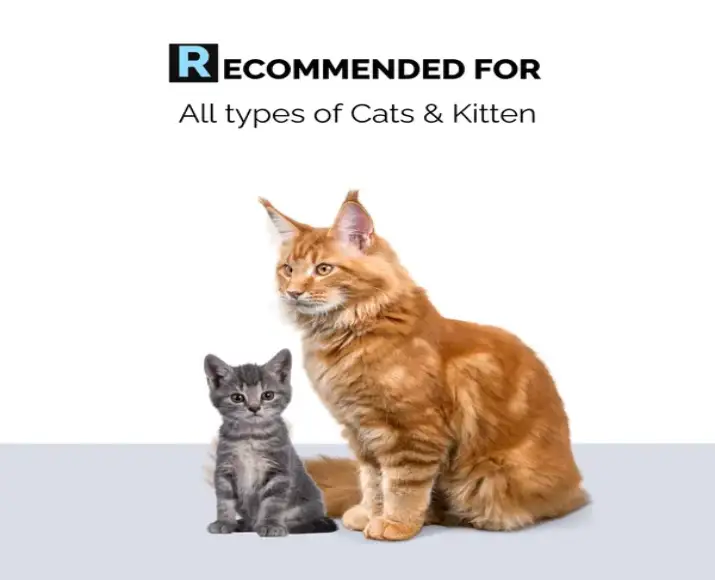 Moe Puppy Cleansing Conditioning Foam Cats PetMedicine.co