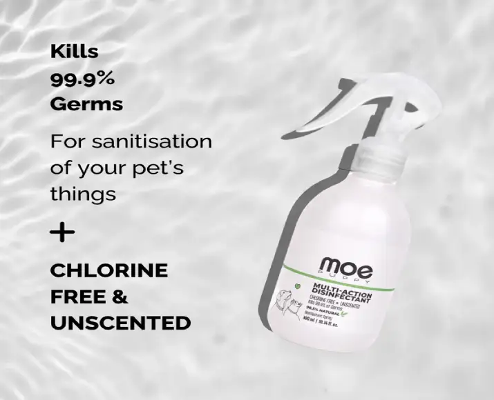 Pet safe disinfectant spray for dogs and cats Moe Puppy PetMedicine.co