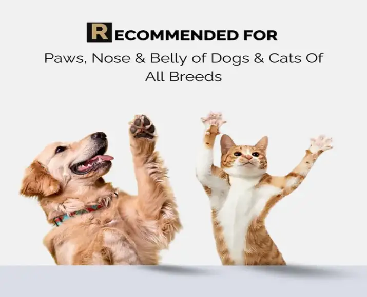 Vitamin E shea butter paw cream for pets PetMedicine.co