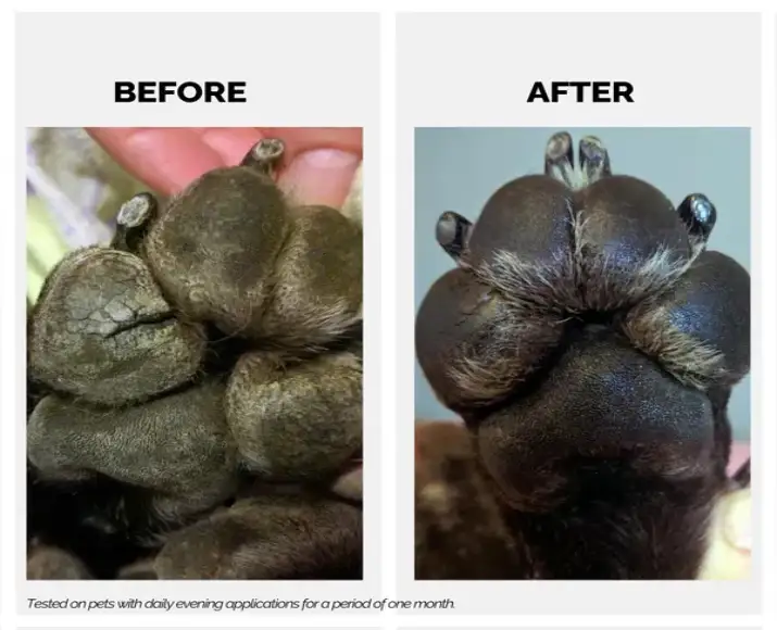 Vitamin E shea butter paw cream for pets PetMedicine.co