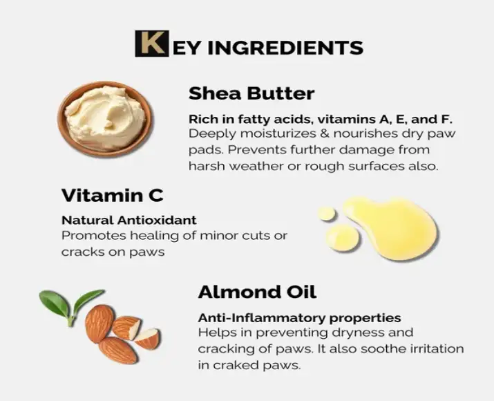 Moisturizing paw balm for dogs and cats PetMedicine.co