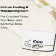 Moisturizing paw balm for dogs and cats PetMedicine.co