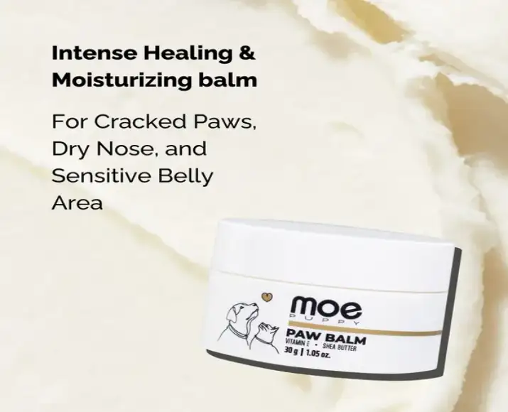Moisturizing paw balm for dogs and cats PetMedicine.co