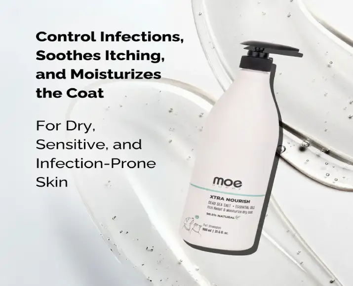Moisturizing dog and cat shampoo Moe Xtra Nourish PetMedicine.co