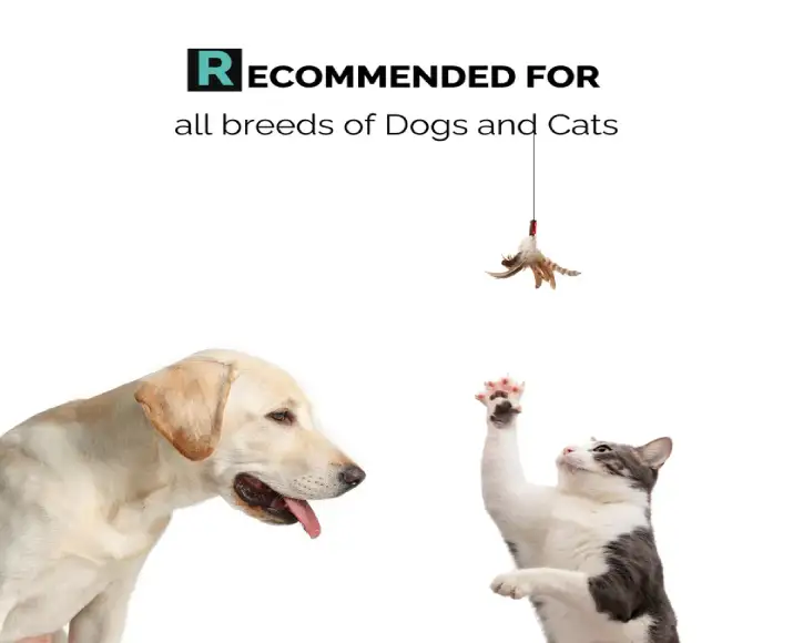 Itch relief pet shampoo Moe Xtra Nourish PetMedicine.co