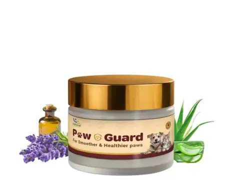 Natural Remedies Paw Guard Paw Balm for Dogs and Cats 25gm PetMedicine.co