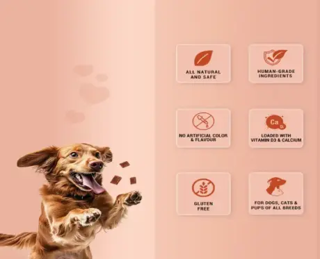 Healthy Dog Reward Treat Natural Remedies Treat O Clock Chicken PetMedicine.co