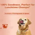 Healthy Dog Reward Treat Natural Remedies Treat O Clock Chicken PetMedicine.co