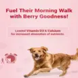 Strawberry and Chicken Dog Treats with Calcium and Vitamin D3 by Natural Remedies PetMedicine.co