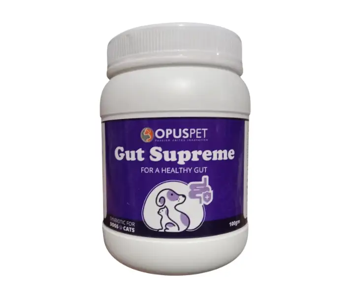 Opus Pet Gut Supreme probiotic supplement for dogs and cats 100gm PetMedicine.co