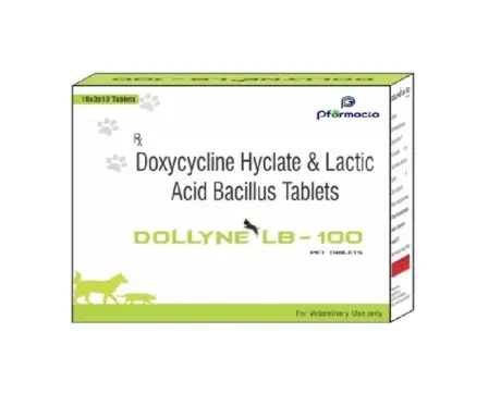Dollyne LB 100 MG Tablets for Dogs & Cats PetMedicine.co