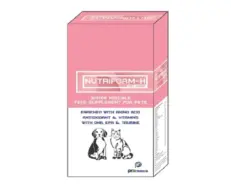 Nutriform H Pet Liquid for Dogs and Cats 200ml PetMedicine.co