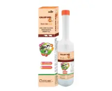 Provimi Calup Gel Plus for cows 400gm nutritional supplement PetMedicine.co