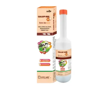 Provimi Calup Gel Plus for cows 400gm nutritional supplement PetMedicine.co
