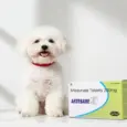 Sihil Artebabe 250 MG antibiotic tablets for pets PetMedicine.co