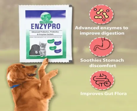 Skonner Pharma Enzypro digestive enzymes for dogs and cats PetMedicine.co 2