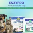 Skonner Pharma Enzypro digestive enzymes for dogs and cats PetMedicine.co 4