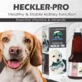 Skonner Pharma Heckler PRO renal care supplement for pets 200ml PetMedicine.co 2