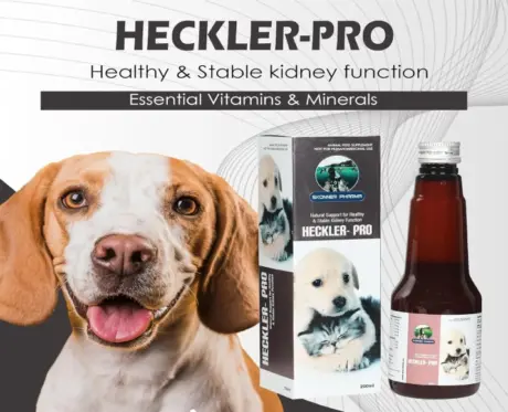 Skonner Pharma Heckler PRO renal care supplement for pets 200ml PetMedicine.co 2