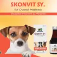 Multivitamin Skonvit Syrup for Dogs by Skonner Pharma PetMedicine.co