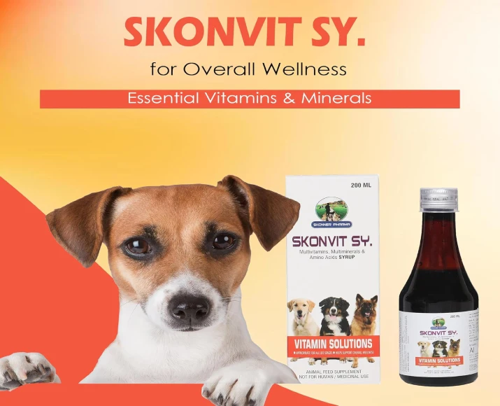 Multivitamin Skonvit Syrup for Dogs by Skonner Pharma PetMedicine.co