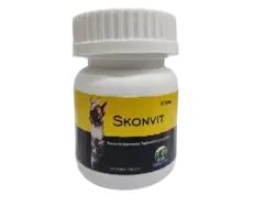 Skonner Pharma Skonvit Tablet for Dogs PetMedicine.co