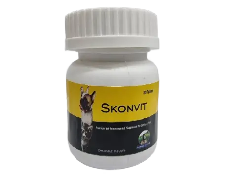 Skonner Pharma Skonvit Tablet for Dogs PetMedicine.co