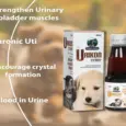 Urikon Syrup urinary care supplement for pets PetMedicine.co