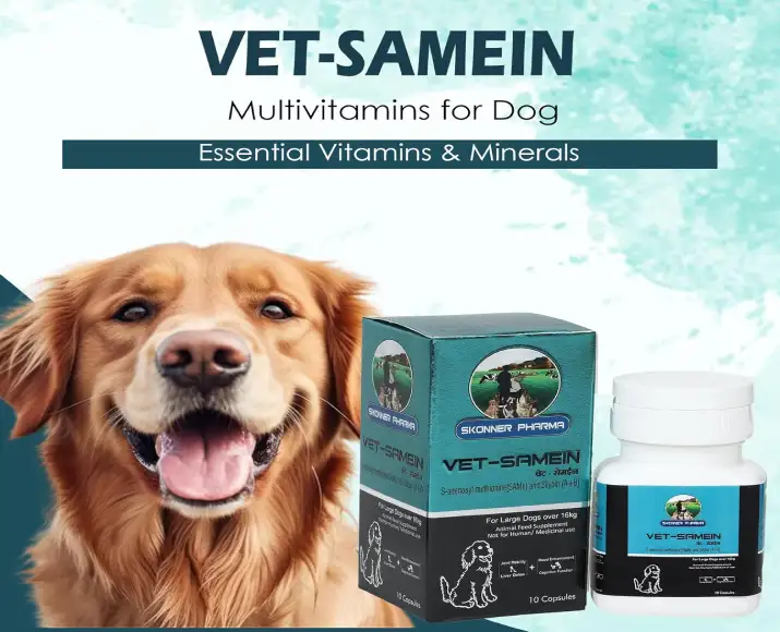 Vet Samein Large liver support tablets for dogs cats PetMedicine.co