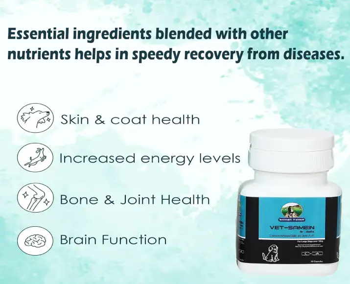 Skonner Pharma Vet Samein Large supplement for pet liver health PetMedicine.co