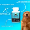 Skonner Pharma Vet Samein Large supplement for pet liver health PetMedicine.co