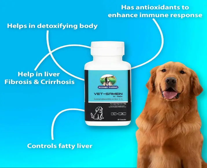 Skonner Pharma Vet Samein Large supplement for pet liver health PetMedicine.co