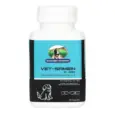 Skonner Pharma Vet Samein Large supplement for pet liver health PetMedicine.co